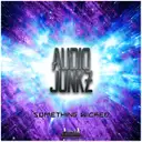 Audio Junkz - artist photo