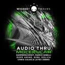 Audio Thru