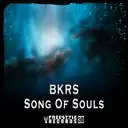 BKRS - artist photo
