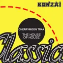 Cherrymoon Trax - artist photo