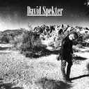 David Spekter - artist photo