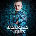 Distorted Voices - artist photo