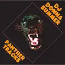 DJ Donna Summer - artist photo