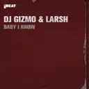Dj Gizmo - artist photo