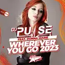 Dj Pulse - artist photo