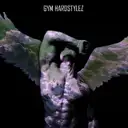 GYM HARDSTYLEZ - artist photo