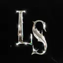 Lille Safari - artist photo