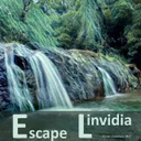 Linvidia