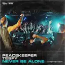 Peacekeeper - artist photo