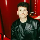 Per Pleks - artist photo