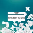 Raw Harmony