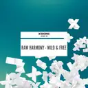 Raw Harmony - artist photo