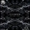 S.D. Rayden - artist photo