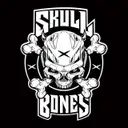 Skull x Bones - artist photo