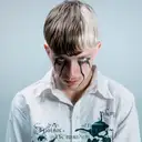 The Devil Dwarf - artist photo
