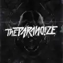 The Paranoize - artist photo