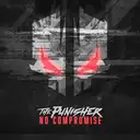 The Punisher - artist photo
