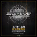 the Vinyl Junk - artist photo