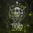 Tigro - artist photo