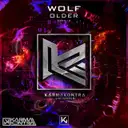 Wolf - artist photo