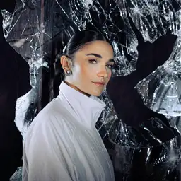 Dark Phoenix - Frenchcore artist photo