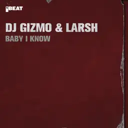 Dj Gizmo - Hardcore artist photo