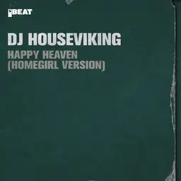 DJ Houseviking - Gabber artist photo