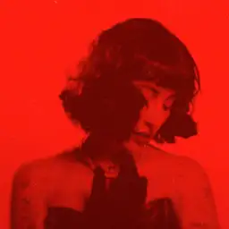 Indira Paganotto - Acid Techno artist photo