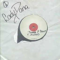 Lady Dana - Gabber artist photo