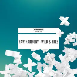 Raw Harmony - Hardstyle artist photo