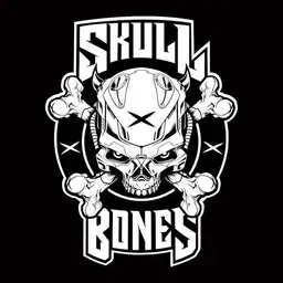 Skull x Bones - Gabber artist photo