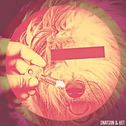Snatson & Ket - Hardcore artist photo