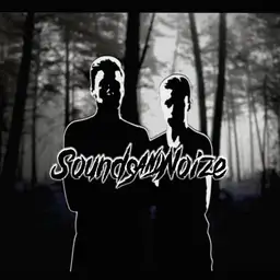 Soundsandnoize - Rawstyle artist photo