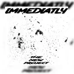 The New Project - Hardstyle artist photo