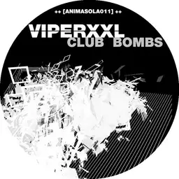 Viper XXL - Schranz artist photo