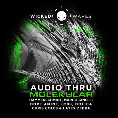 Photo of Audio Thru