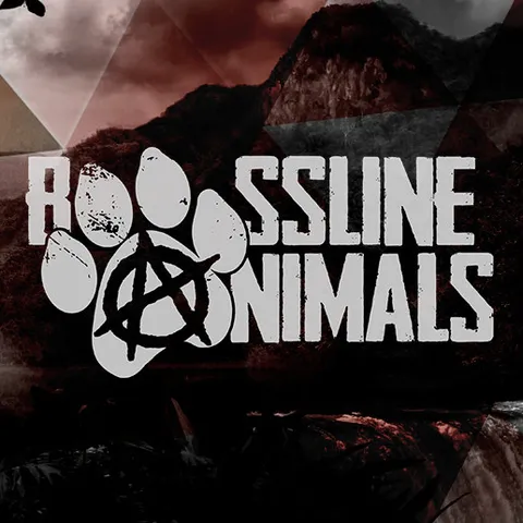 Photo of Bassline Animals