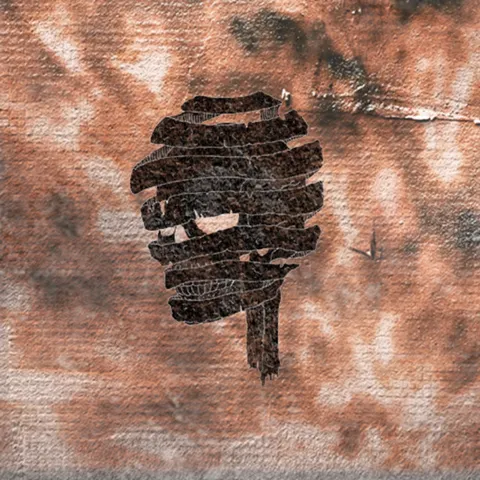 Black/Plague - Acid Techno artist photo