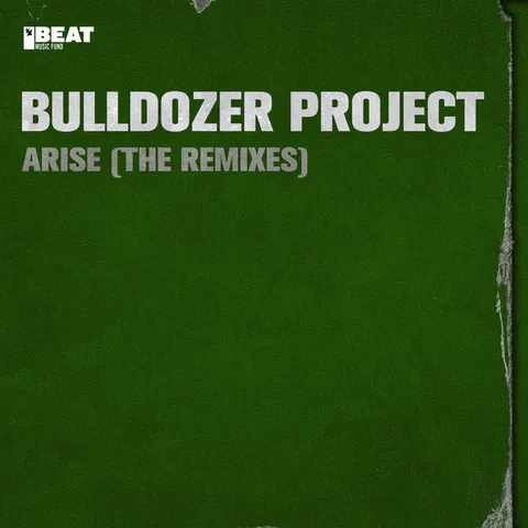 Photo of Bulldozer Project