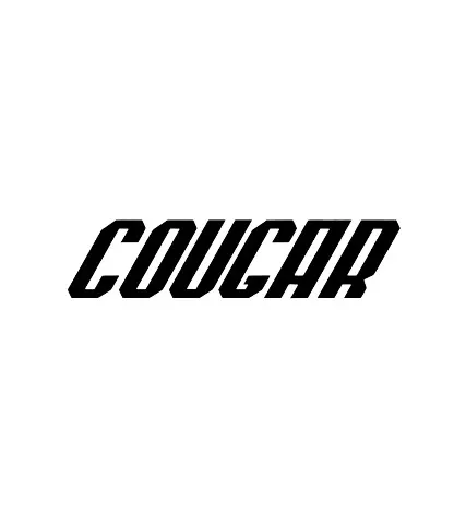 Cougar - Frenchcore artist photo