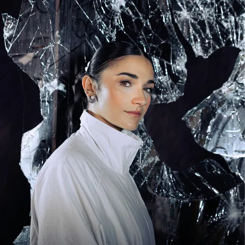 Dark Phoenix - Frenchcore artist photo