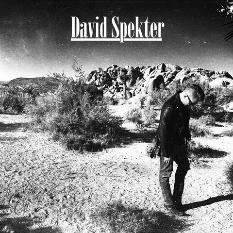 David Spekter - Hardstyle artist photo