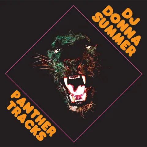 DJ Donna Summer - Gabber artist photo