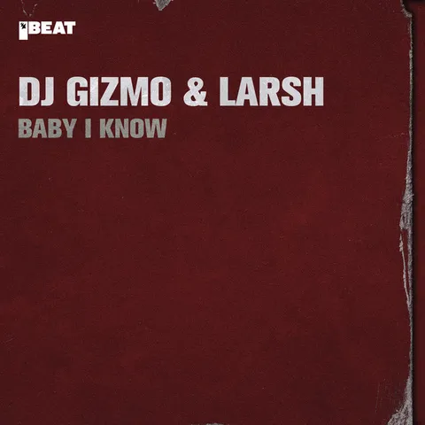 Dj Gizmo - Hardcore artist photo