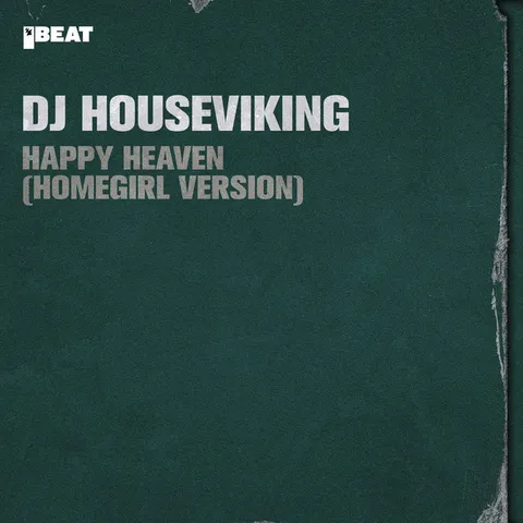 DJ Houseviking - Gabber artist photo