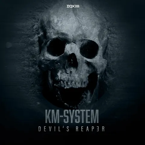 Photo of KM-System