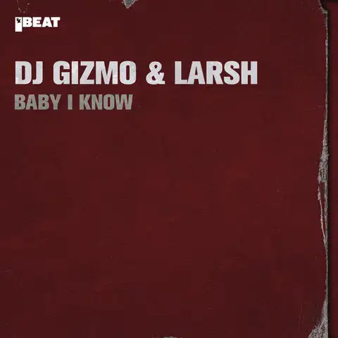 Larsh - Gabber artist photo