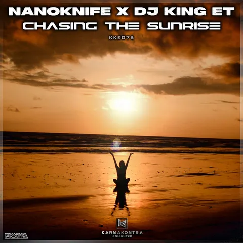 Photo of NanoKnife