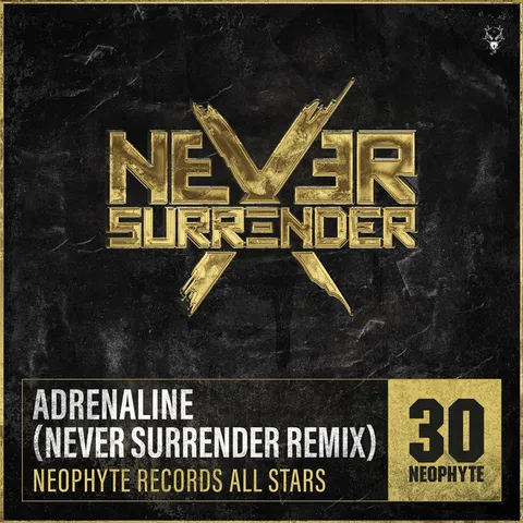 Neophyte Records All Stars - Frenchcore artist photo