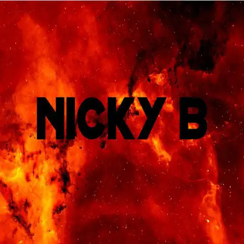 Nicky B - Hardstyle artist photo